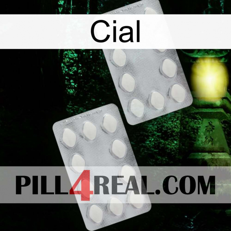 Cial 17